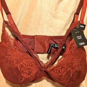 NWT Torrid Push-Up Plunge Bra